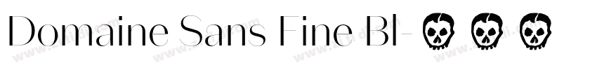 Domaine Sans Fine Bl字体转换